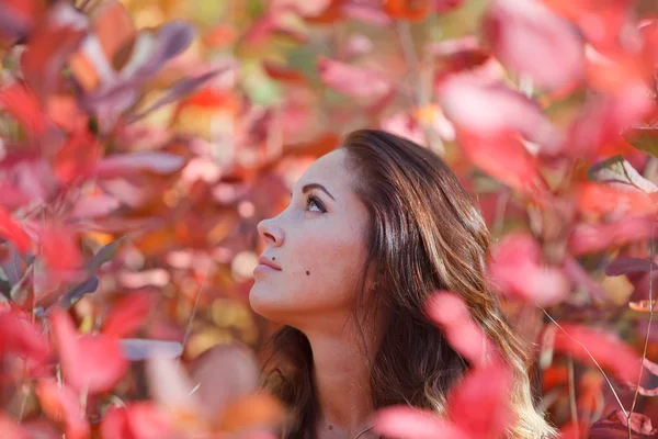 Девушка в красных листьях осенью — стоковое фото