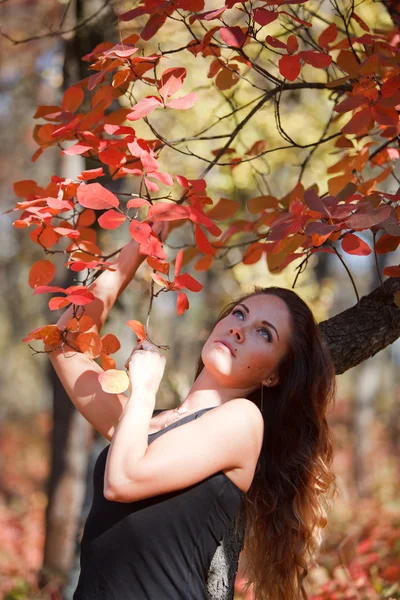 Fille dans les feuilles rouges en automne — Photo