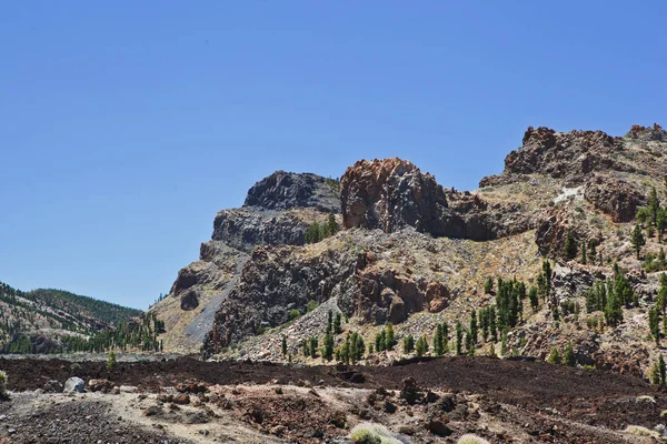 Teide Yanardağı ve ağaç kayalar