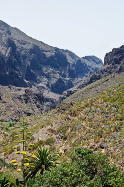 Tropic mountaines kayalar