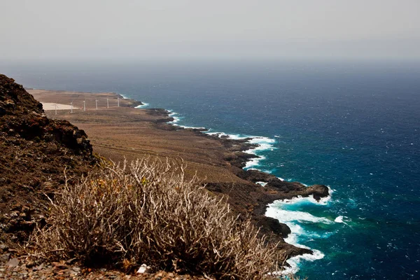 okyanus vahşi plaj kayalar