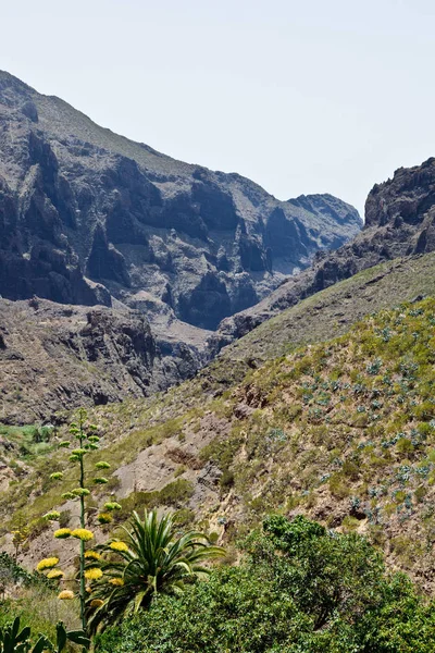 Tropic mountaines kayalar