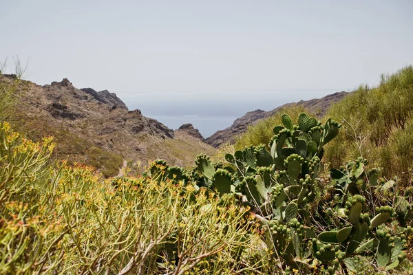 Montañas tropicales rocas — Foto de Stock