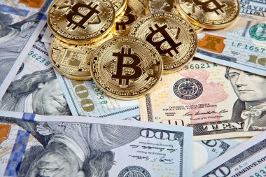 Dolarlı Bitcoin paraları