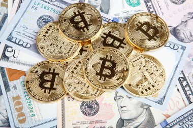 bitcoin paralar Euro ve dolar ile