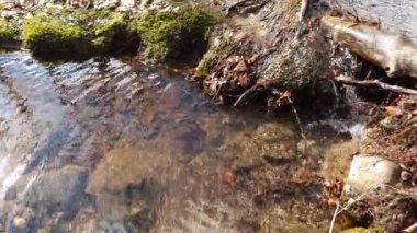 4k video rahatlatıcı ses ile küçük nehir