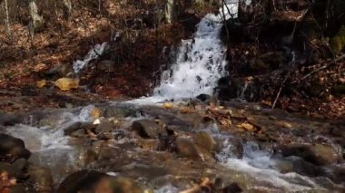 4k video rahatlatıcı ses ile küçük şelale