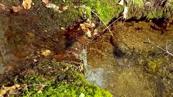 Video Relaxyng Pequeño Río Con Sonido — Vídeo de stock