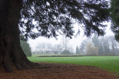 Eski bir mülk büyük bir ağacın arkasında saklanıyor. Sonbahar - yeşil çimlerin etrafında düşen yapraklar