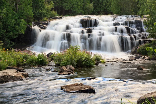 Anleihe fällt auf der oberen Halbinsel Michigan — Stockfoto