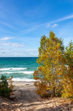 Resimde kayalar, ABD, Superior Gölü sonbahar ağacı