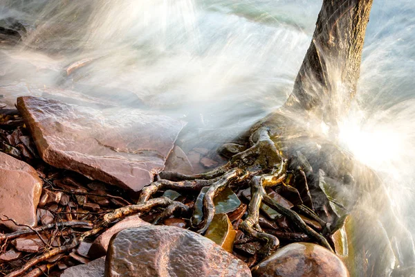 Kraschar vågor och trädrötter på Lake Superior strandlinjen — Stockfoto