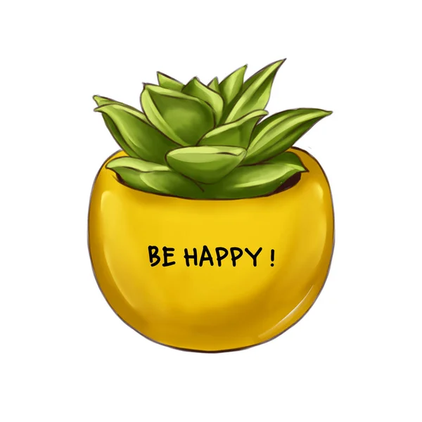 Small Succulent Yellow Vase Illustration Stock Image