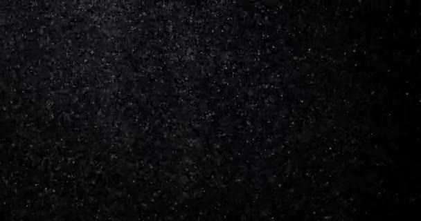 Přirozený Bílý Zimní Sníh Černém Pozadí — Stock video
