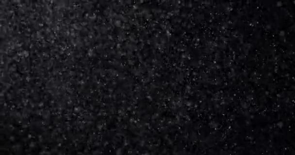 黑色背景上自然的白色冬季降雪 — 图库视频影像