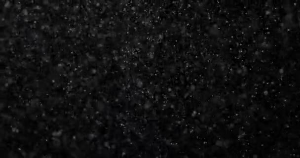 Natürlicher Weißer Winterschnee Auf Schwarzem Hintergrund — Stockvideo