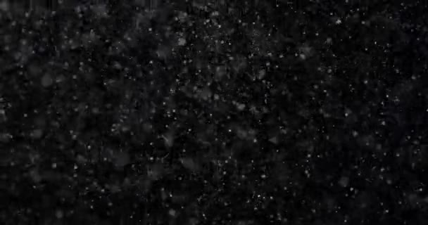 Chute Neige Blanche Naturelle Hiver Sur Fond Noir — Video