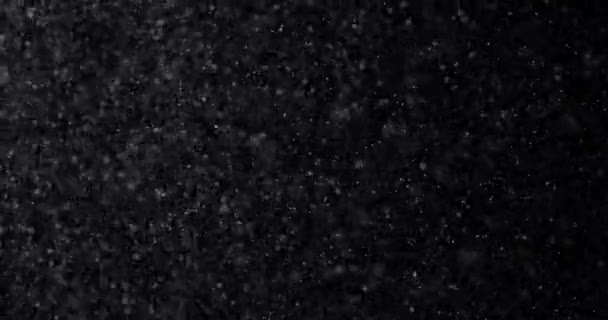 Chute Neige Blanche Naturelle Hiver Sur Fond Noir — Video