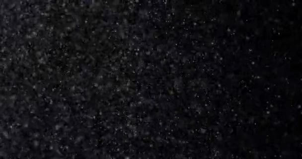 Natural White Winter Snowfall Black Background — Stock Video
