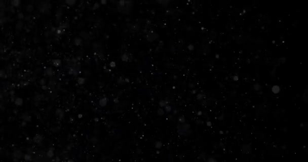 Naturalne Białe Opady Śniegu Zimowego Czarnym Tle — Wideo stockowe
