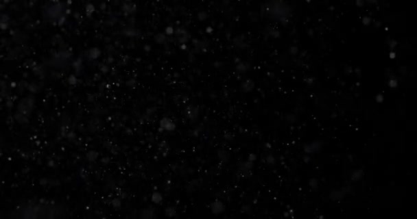 Inverno Branco Natural Nevasca Sobre Fundo Preto — Vídeo de Stock