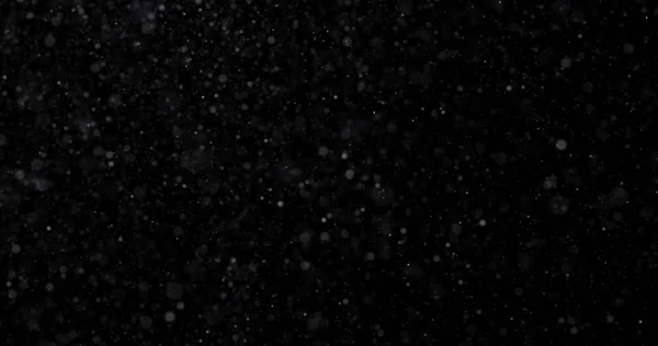 Естественный Белый Снегопад Черном Фоне — стоковое фото
