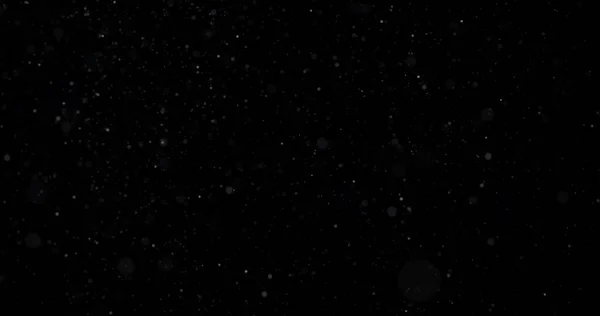 Естественный Белый Снегопад Черном Фоне — стоковое фото
