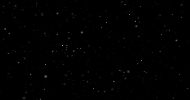 Flying Dust Particles Black Background — Stock Video