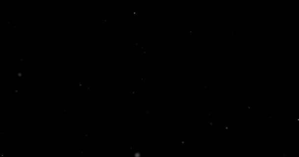 Fliegende Staubpartikel Auf Schwarzem Hintergrund — Stockvideo