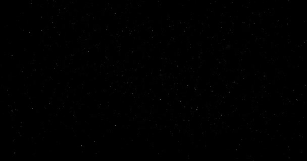 Ιπτάμενα Σωματίδια Σκόνης Μαύρο Φόντο — Αρχείο Βίντεο