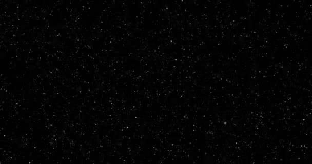 Ιπτάμενα Σωματίδια Σκόνης Μαύρο Φόντο — Αρχείο Βίντεο