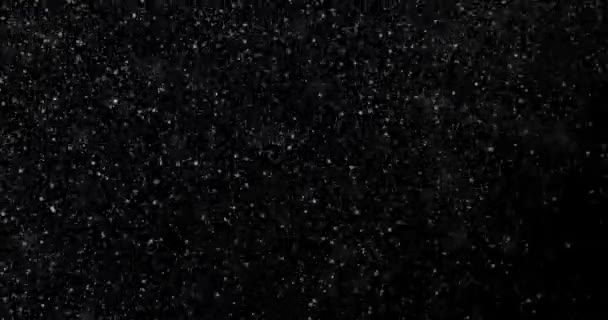 黑色背景上自然的白色冬季降雪 — 图库视频影像