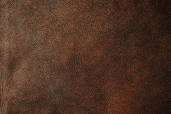 Natural Leather Structure Material Abstract Texture Background — Stock Photo, Image