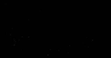 Siyah arkaplan videosundaki soyut uçan toz parçacıkları