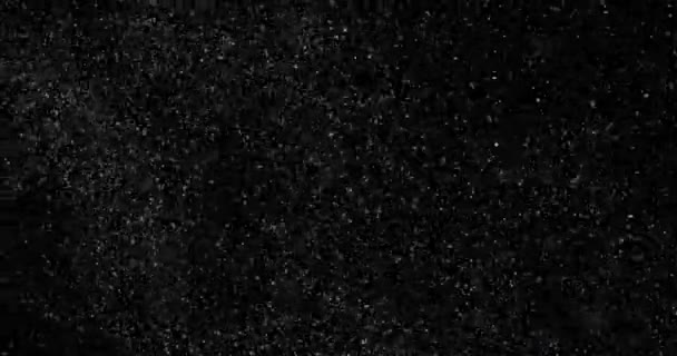 Abstracto Partículas Polvo Volador Video Fondo Negro — Vídeos de Stock