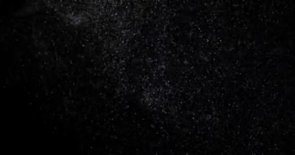 Abstrakte Fliegende Staubpartikel Auf Schwarzem Hintergrund Video — Stockvideo