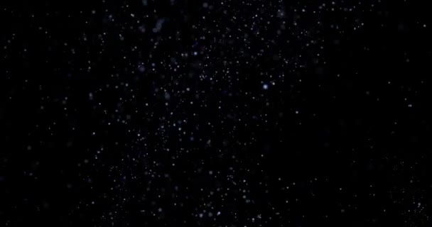 黑色背景音乐录影带中的飞尘粒子 — 图库视频影像