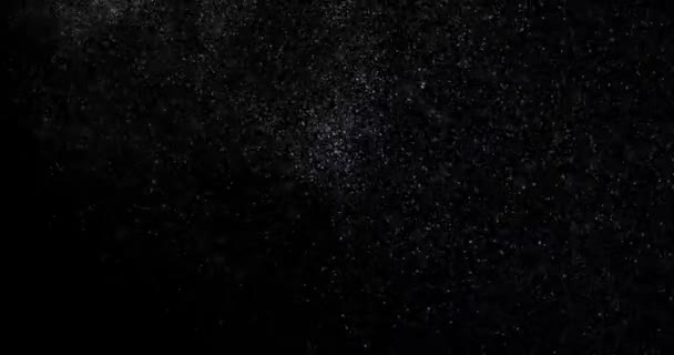 Πετώντας Αφηρημένα Σωματίδια Σκόνης Ένα Μαύρο Βίντεο Υποβάθρου — Αρχείο Βίντεο