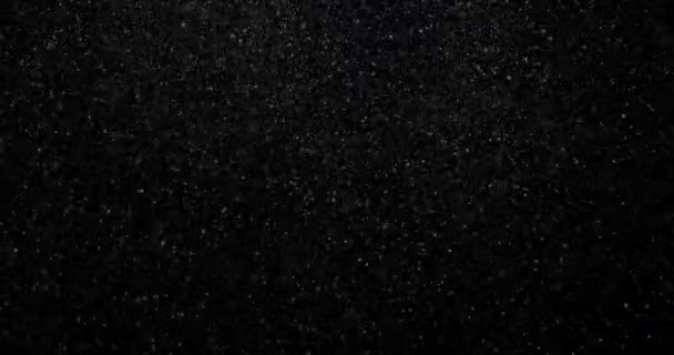 Nieve Invierno Blanco Natural Sobre Video Fondo Negro — Vídeo de stock
