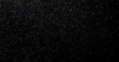 Siyah arka plan videosunda doğal beyaz kar yağışı