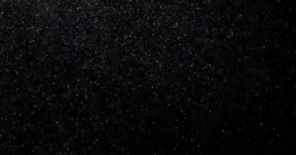 Natural White Winter Snowfall Black Background Video — Stock Video