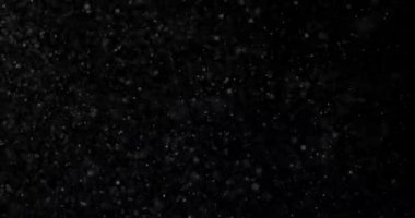 Siyah arka plan videosunda doğal beyaz kar yağışı