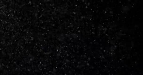 Siyah Arka Plan Videosunda Doğal Beyaz Kar Yağışı — Stok video