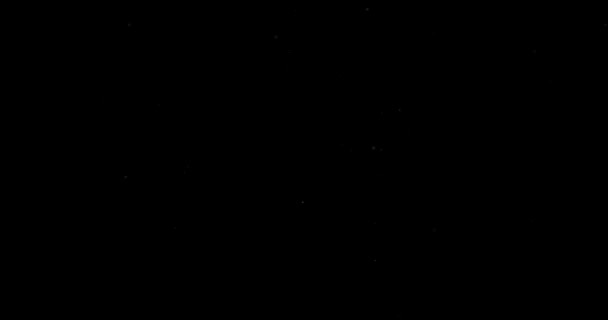 黑色背景上的飞尘粒子 — 图库视频影像