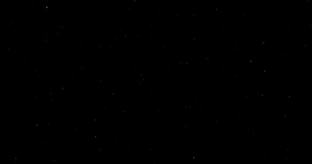 abstrait Particules de poussière volante sur fond noir 