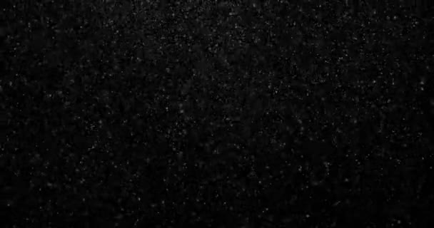 Flying Dust Particles Black Background — Stock Video