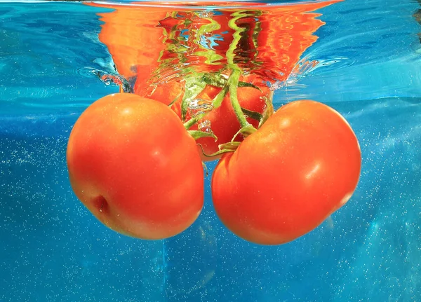 Tomates — Foto de Stock