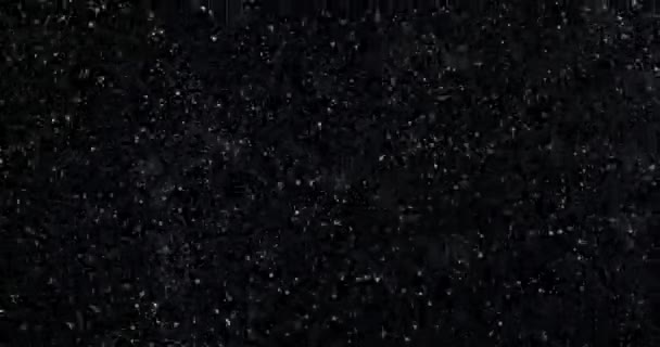 Sneeuwval Een Zwarte Achtergrond Kopieer Ruimte — Stockvideo