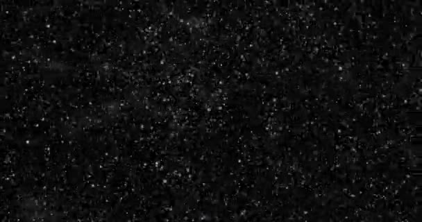 Sneeuwval Een Zwarte Achtergrond Kopieer Ruimte — Stockvideo