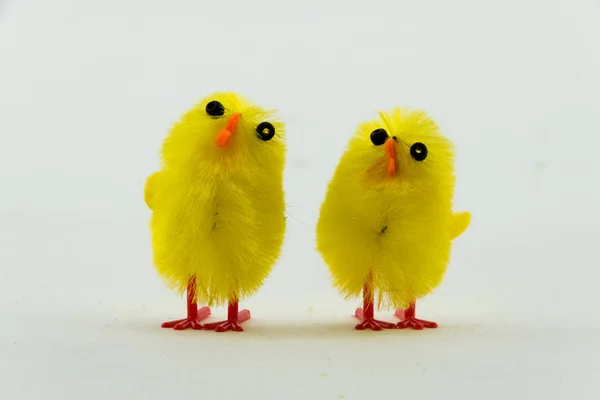 Gele Pasen kippen — Stockfoto